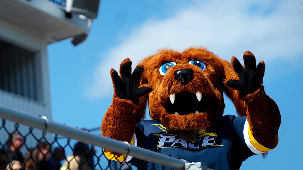 Pace University Logo